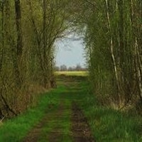 Praxis für Psychotherapie